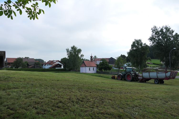 Dafür mäht der Bauer mitten im Ort hinter der Dorfkapelle. Was für ein Geschepper am Sonntag um 8:04.