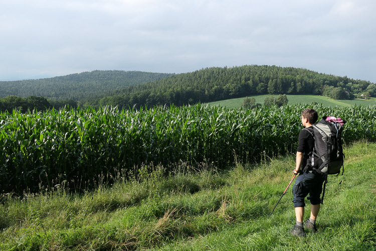 Letzte Etappe: die Kürnburg