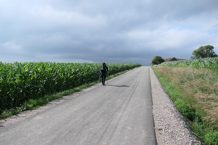Wir sind im Endspurtmodus. Die letzten 6 km.