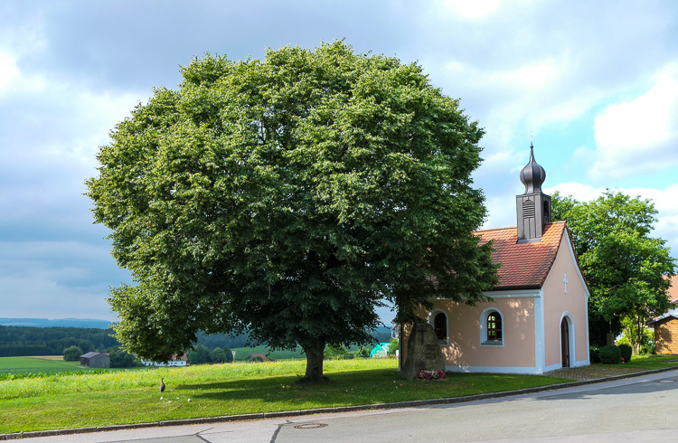 Die 1493. von mir fotografierte oberpfälzer Kapelle ist gerade zweitrangig interessant. 