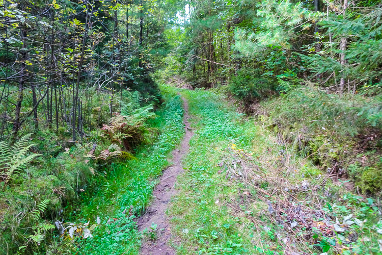 Der eigentliche Teil des Ausflugs geht dann aber zu Fuß und bergauf.