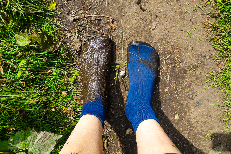 Der linke Fuß des Wanderführers ist ungeschickter als der rechte und deshalb fango-braun.