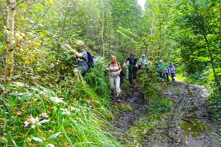 Aber wer würde sich wegen ein bisschen applizierter, kolloidaler Mineralien zum Affen machen?