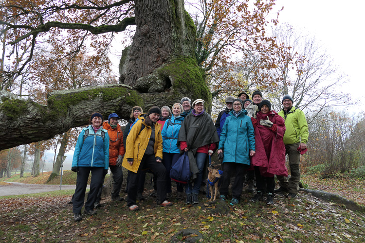 15 wetterfeste Wanderer und 2 Hunde sind wir heute.
