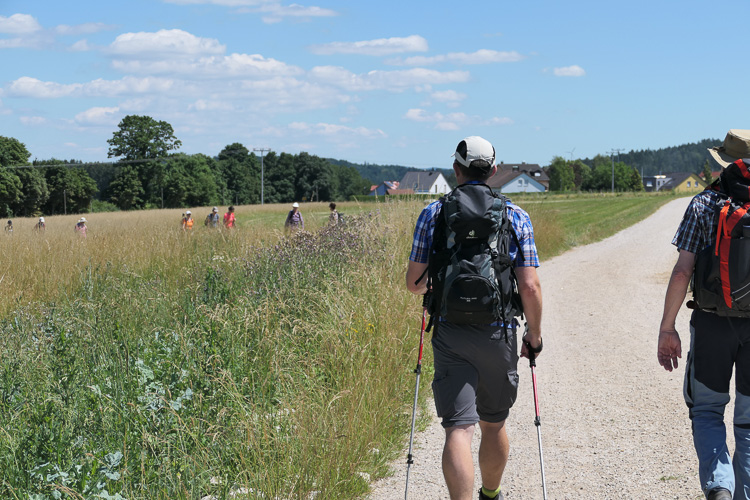 Kurz danach kollidieren wir fast mit einer anderen Wandergruppe. Aber die reagieren ziemlich unterkühlt. Und das bei 26 Grad!