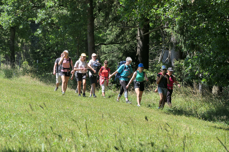 Bei guten Gesprächen fällt das Wandern leicht.