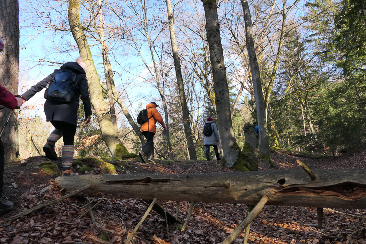 Den Burgstall Schwarzenfels kannten wir damals schon, aber nicht die Wallanlage. heute schreiten wir sie ab.