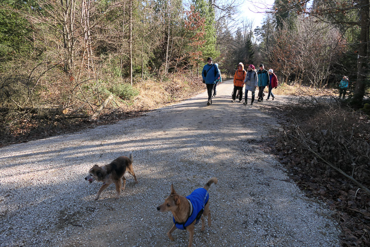 An der Zuylenkapelle heute.
