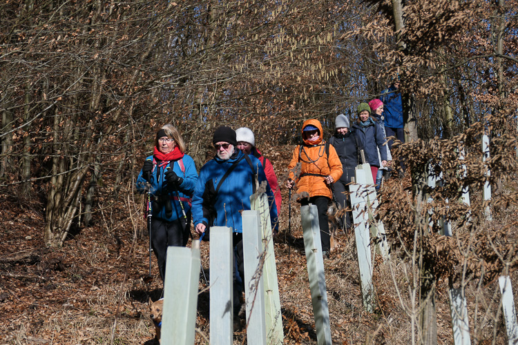 Abstieg zum Jurasteig.