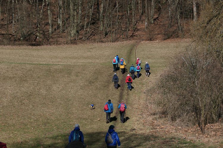 Aufstieg auf dem Jurasteig.