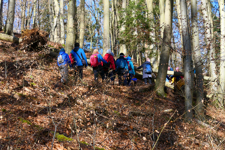 Aufstieg heute. Mit leichten Hindernissen verbunden.