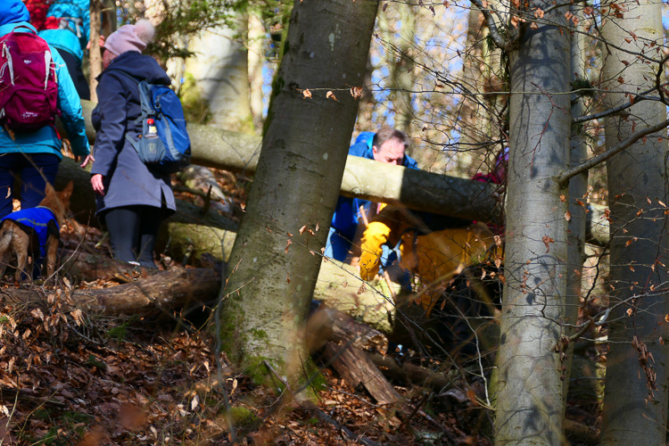 Aber diese werden bravourös gemeistert. 