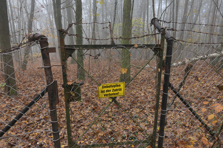 Fehlanzeige.