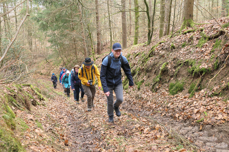 Glücklich, wer gut gefrühstückt hat, denn es geht 250 Höhenmeter steil bergauf. 