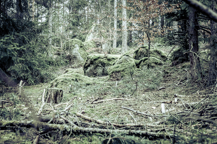 Die Knocks schlafen noch, aber die schlafen immer. Gott-sei-Dank.