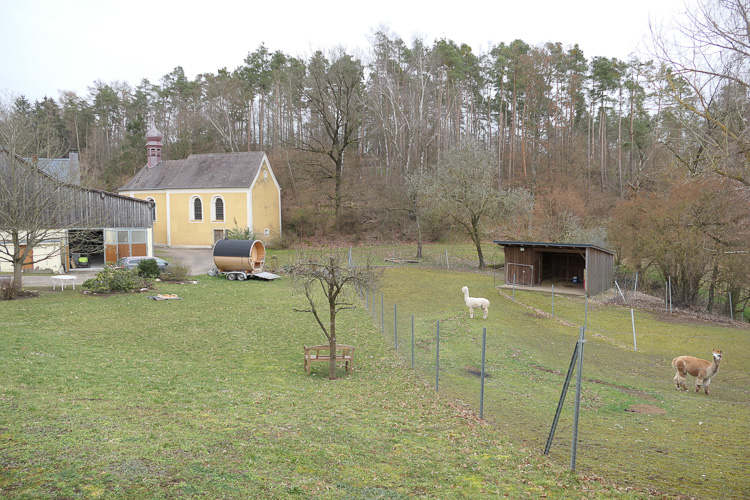 Die eigentliche Wallfahrtskirche liegt versteckt auf Privatgrund und wird von wohlerzogenen Kamelartigen bewacht.