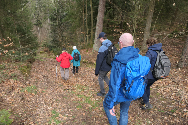 Alle 10 Teilnehmer beschließen, den 