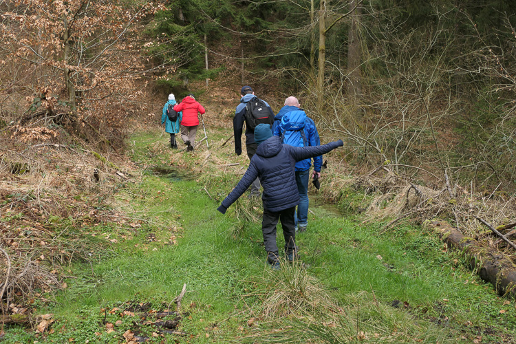Leider sieht man in diesem Bild das im Boden lauernde Wasser nicht.