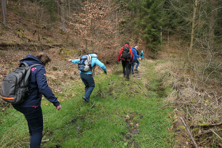 Wer nicht ins Wasser möchte, muss erfolgreich rudern.
