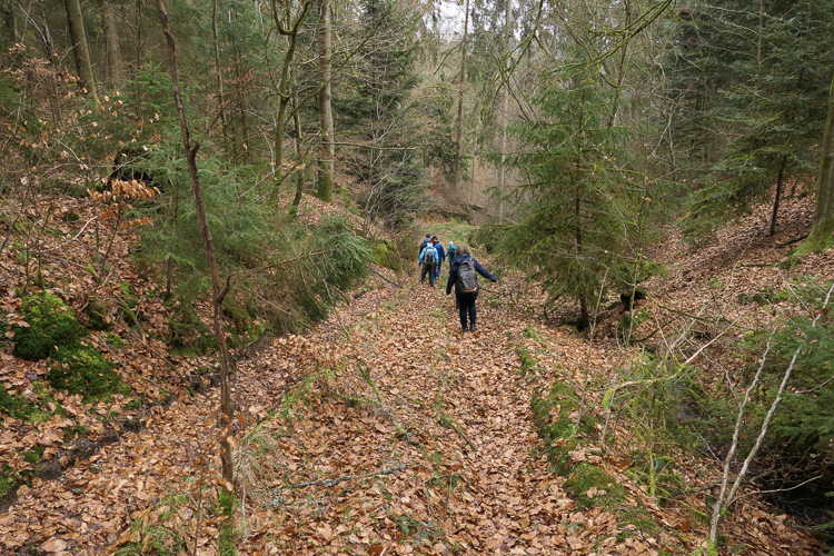 Hier ist schon lange kein Gefährt mehr durchgekommen. Nur die 10 Gefährten dieser Wanderung.