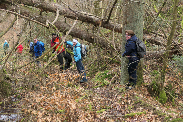Inzwischen eine eingeschworene Truppe, die sich den Hindernissen stellt. Gut, dass wir so geschmeidig sind.