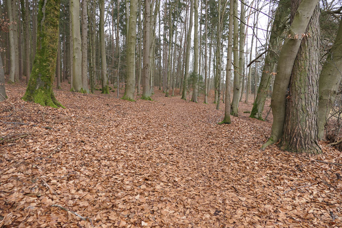 Wir treffen gefühlt auf Februarwetter.