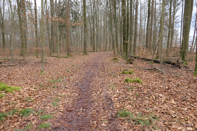 Spontan kürzen wir über das Hintere Hatzengrün ab. 