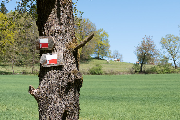 vergessener Wanderweg