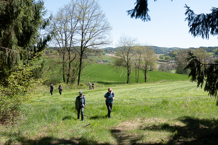 Wir retten uns vor dem Bauern in den Wald, er hat nämlich einmal böse gehupt.