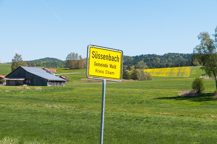 Heute wandern wir bei Süssenbach.