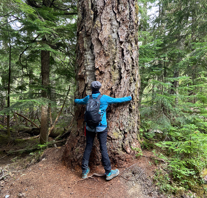 Let's hug a tree. Maybe it hugs back?