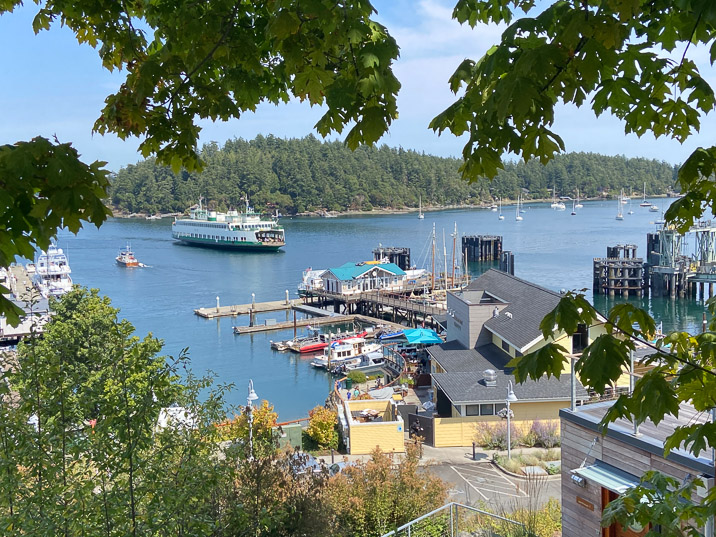 In the afternoon we meet in Friday Harbor for the Welcome Party.
