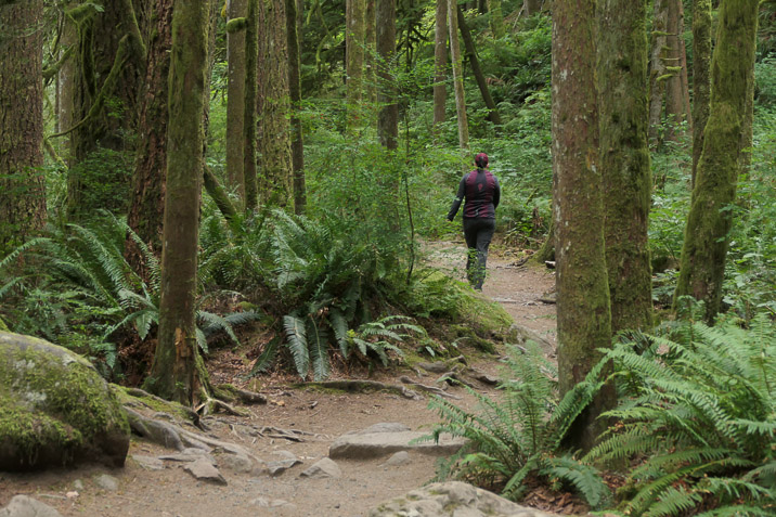 It's in this green and lush state park.
