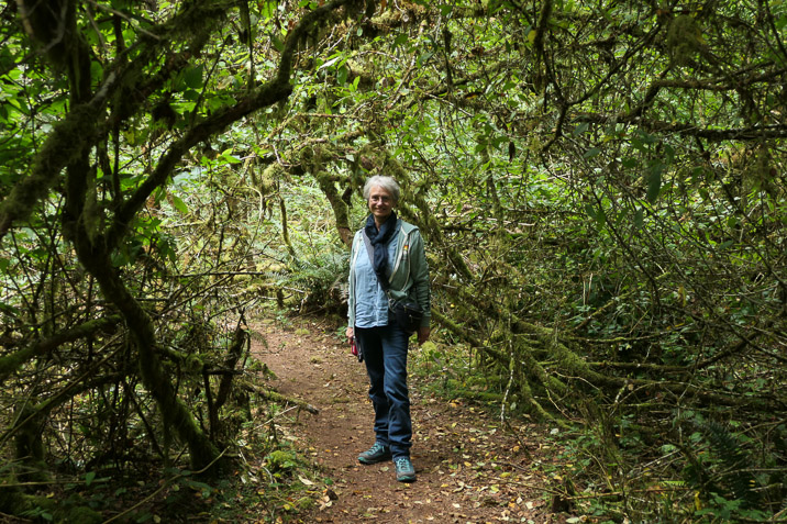 There's even a little path of nature left in Ocean Shores: Weatherwax Trail.