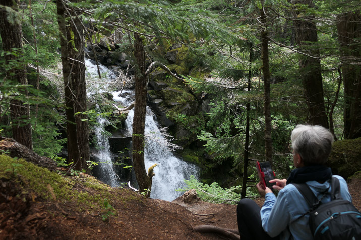 Any nice scenes must be shared immediately. We're at Carter Falls.