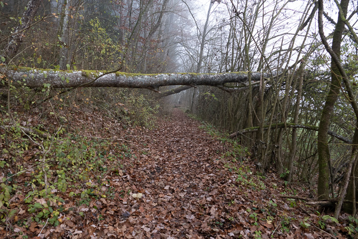 Wir bleiben auf dem Boden der Tatsachen.