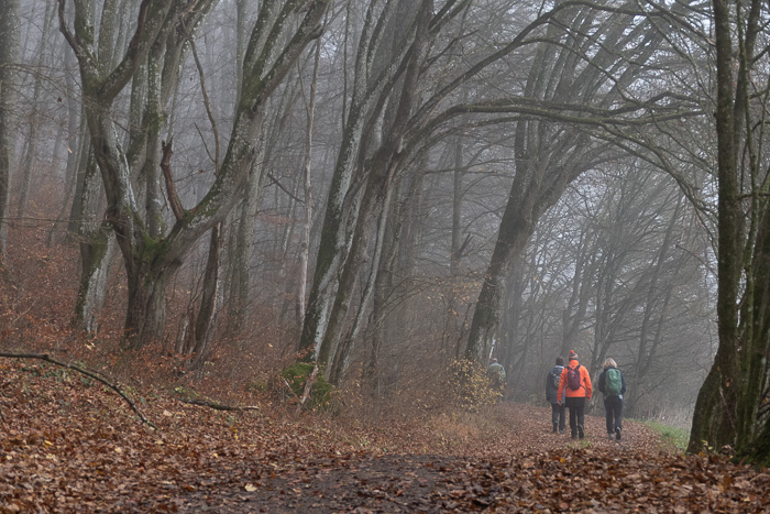 Es ist tatsächlich Spätherbst. 