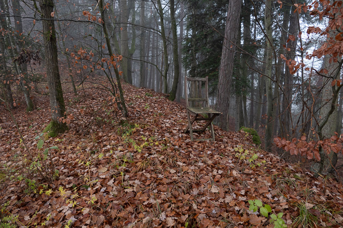 Überbleibsel auf dem Befestigungswall der Eselburg.