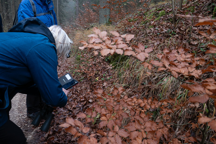 Hat jemand eine Idee welche Orchidee das sein könnte? Tante Google weiß Antwort. 