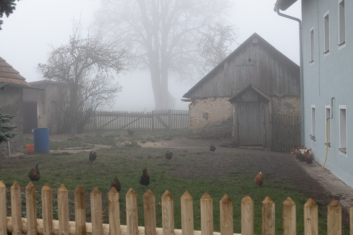 Jetzt geht alles seinen routinierten Gang. 