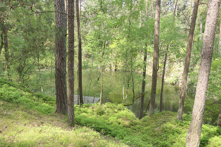 So auch im Alten Steinbruch, in dem jetzt der Silbersee wohnt.