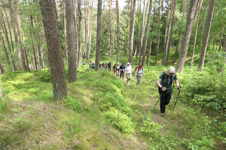 Auf einem alten Weg nehmen wir den Aufstieg durch das einstige Bergbaugelände.