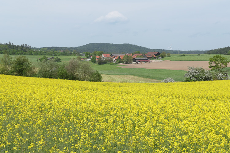 Am Horizont taucht der Kulmberg auf.