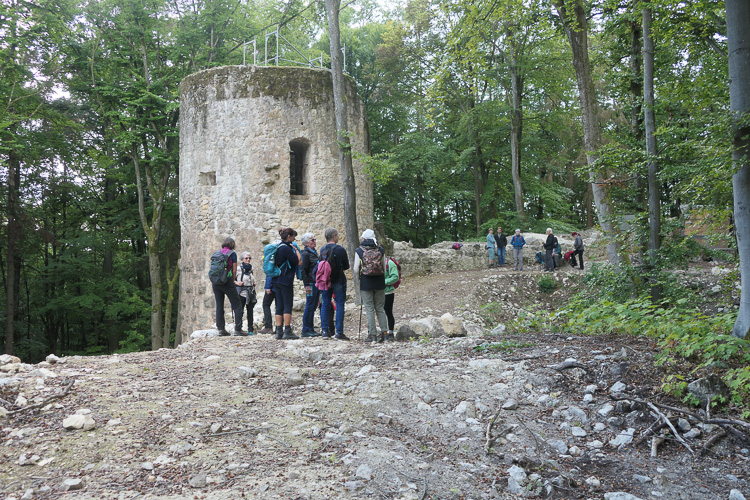 Burg Ehrenstein bietet ein Bild des Jammers! Man legt die alten Mauern frei. Gelebter Zahnhalskaries.