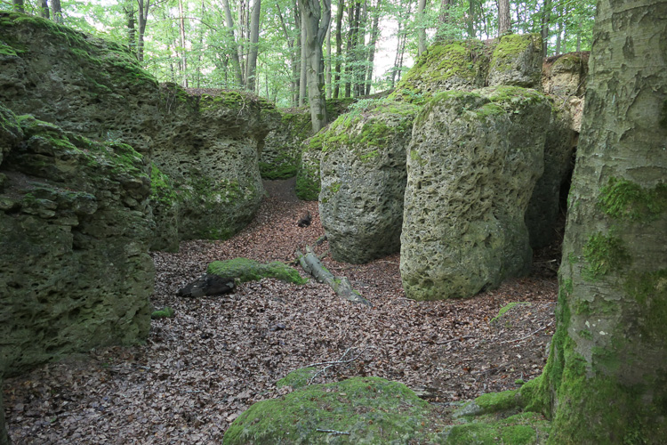 Das alte Korallenriff lädt ein zum Besuch.