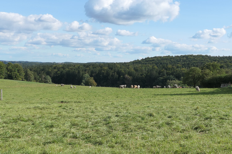 Cowboyromantik bei Rufenried.