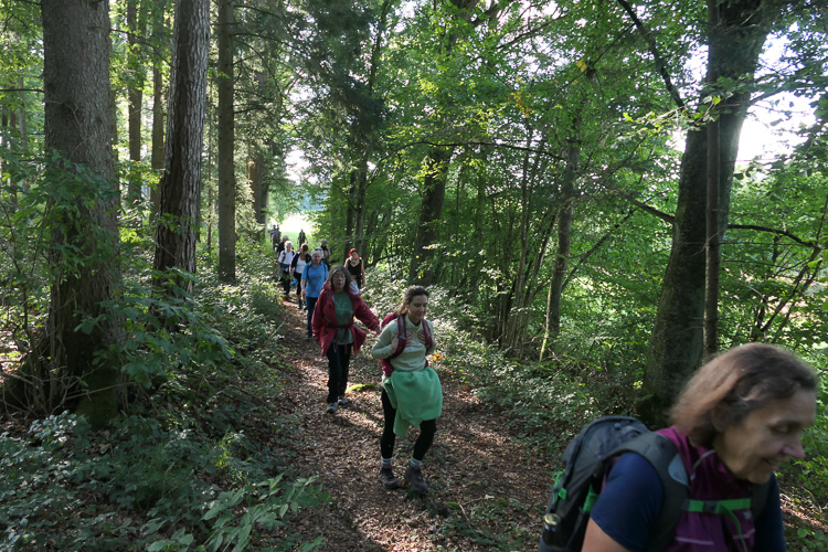 Ein kurzes Stück wilder Trail.