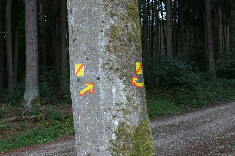 Ganz frisch: Der neue Wanderweg. Sind eigene Wege gegangen.