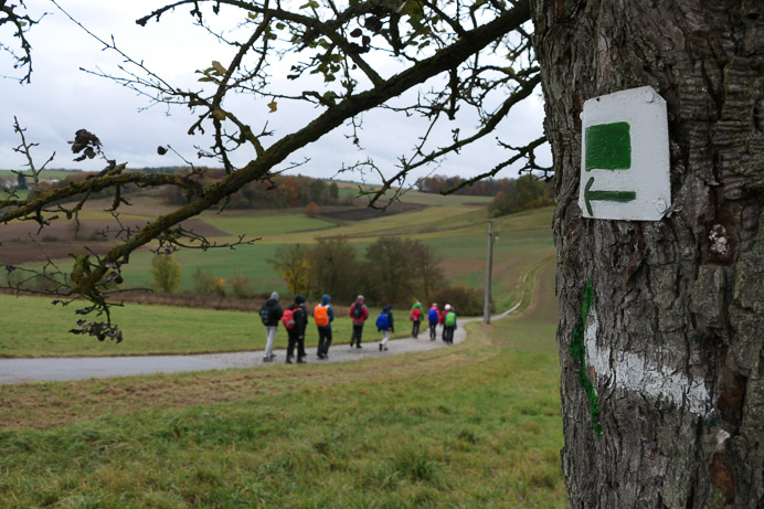 Auch ohne Leithammel läuft die Truppe wie geschmiert.