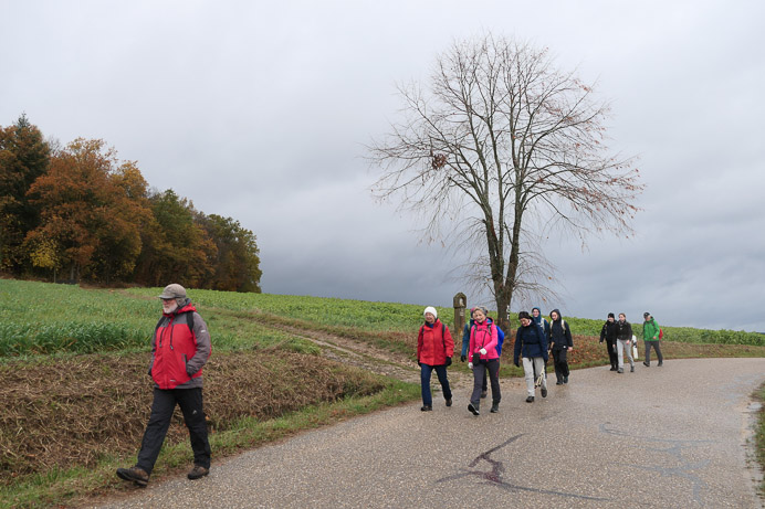 Es ist richtig Herbst geworden.